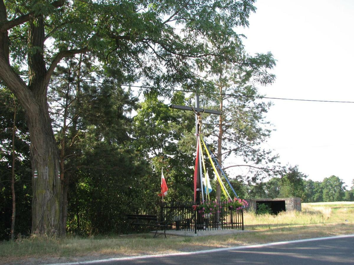 Strefa Kampinos Villa Brochów Buitenkant foto