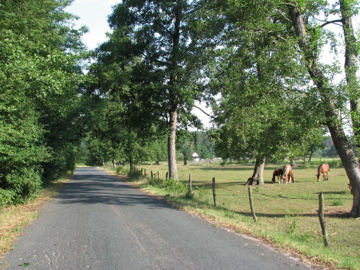 Strefa Kampinos Villa Brochów Buitenkant foto