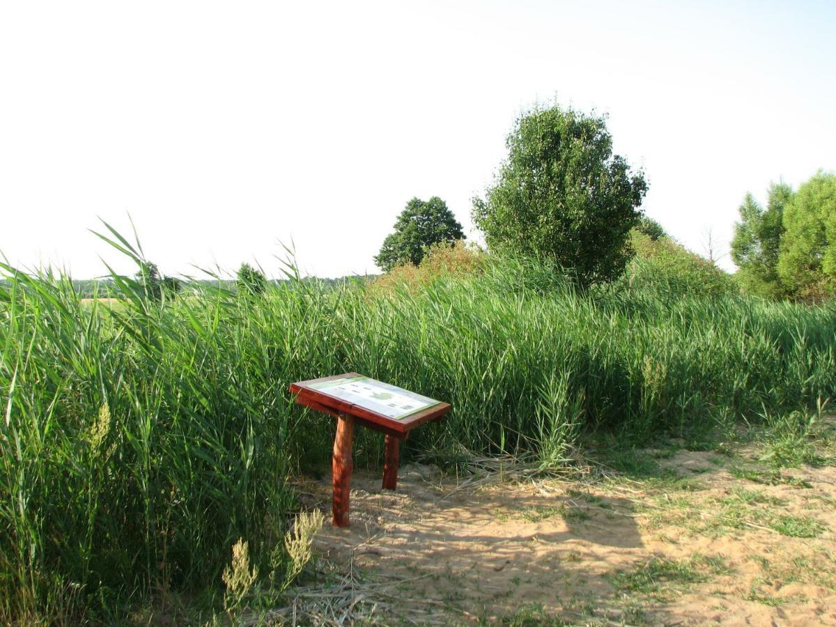 Strefa Kampinos Villa Brochów Buitenkant foto