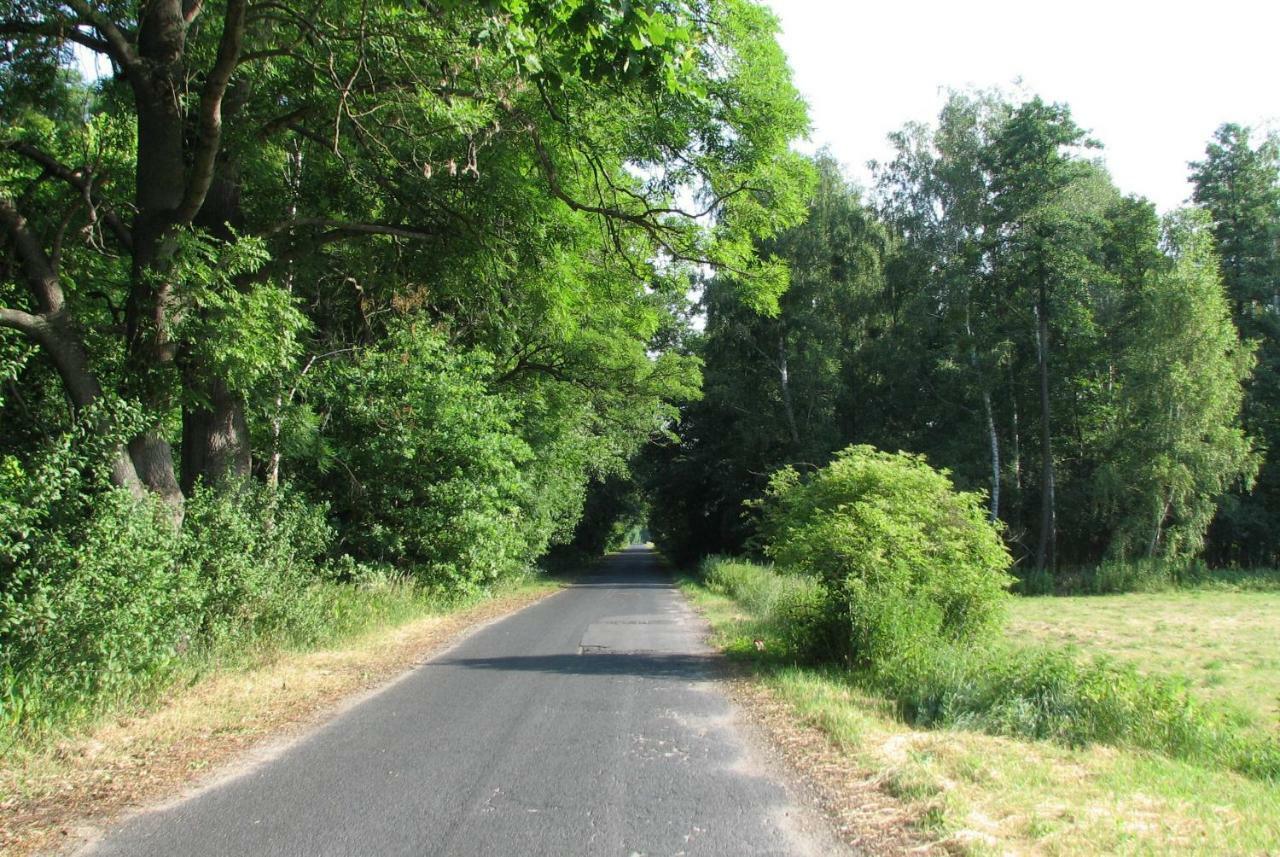 Strefa Kampinos Villa Brochów Buitenkant foto