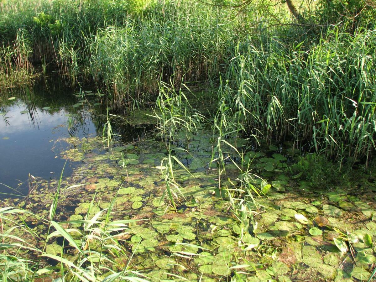 Strefa Kampinos Villa Brochów Buitenkant foto