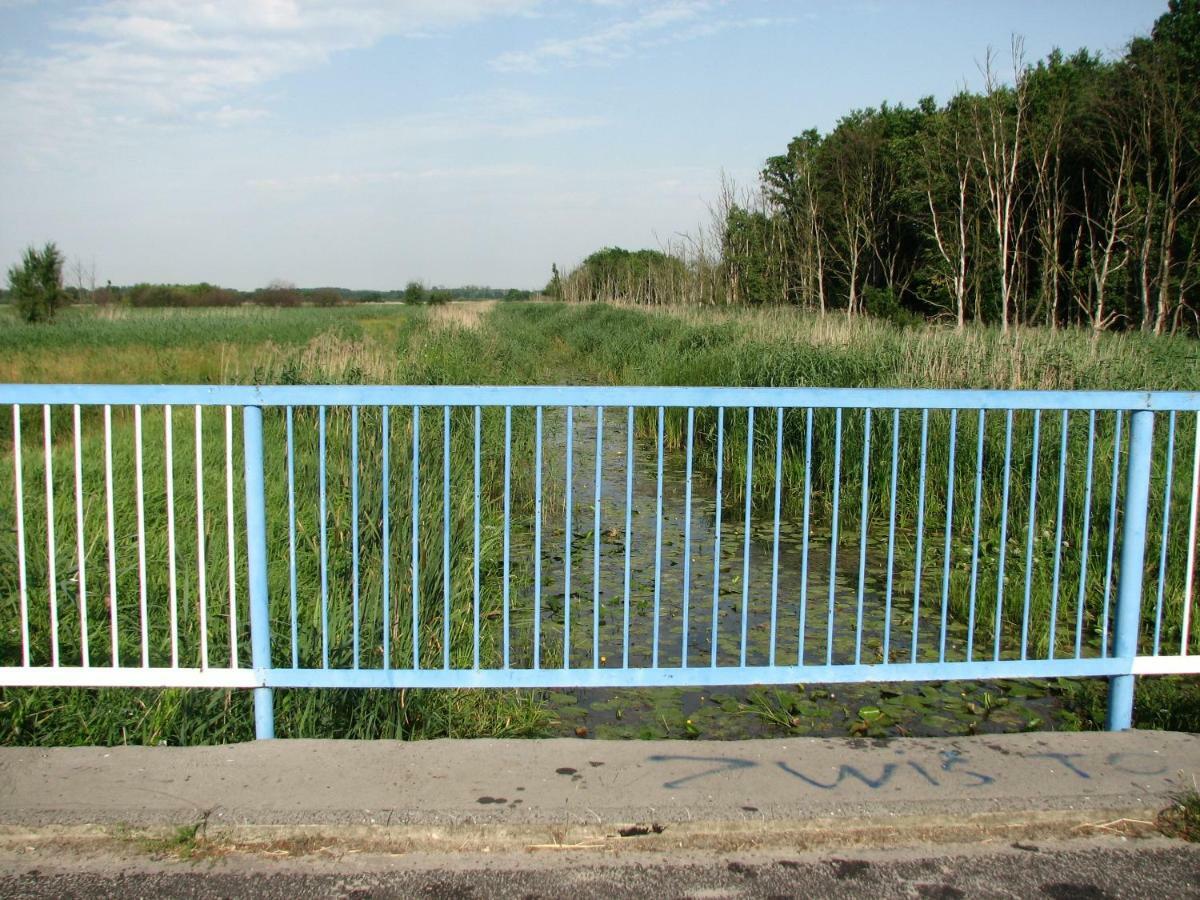 Strefa Kampinos Villa Brochów Buitenkant foto