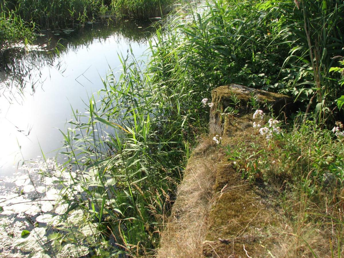 Strefa Kampinos Villa Brochów Buitenkant foto