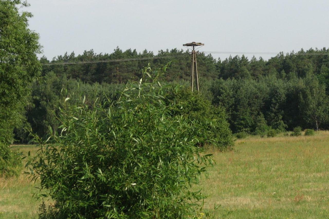 Strefa Kampinos Villa Brochów Buitenkant foto